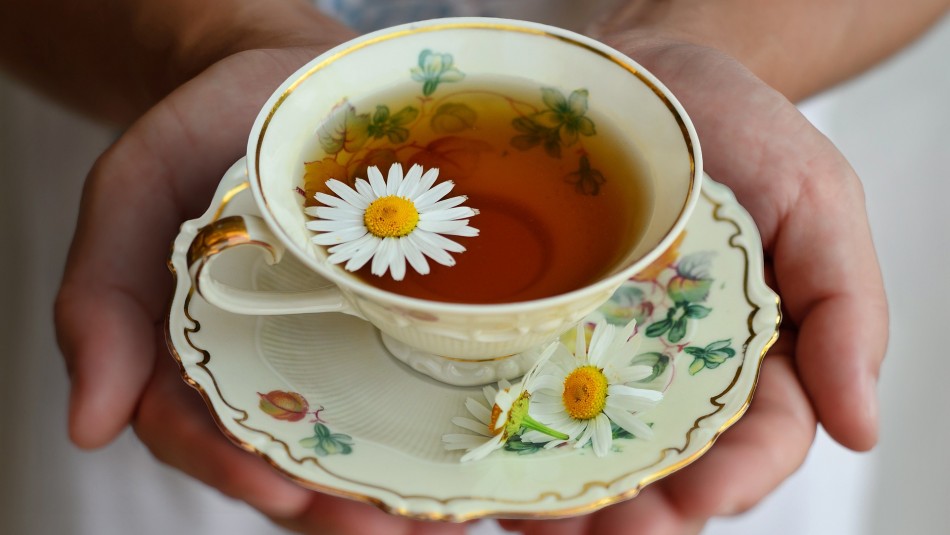 Ayuda a controlar la diabetes: Mira los beneficios de la infusión de manzanilla Ayuda a controlar la diabetes: Mira los beneficios de la infusión de manzanilla