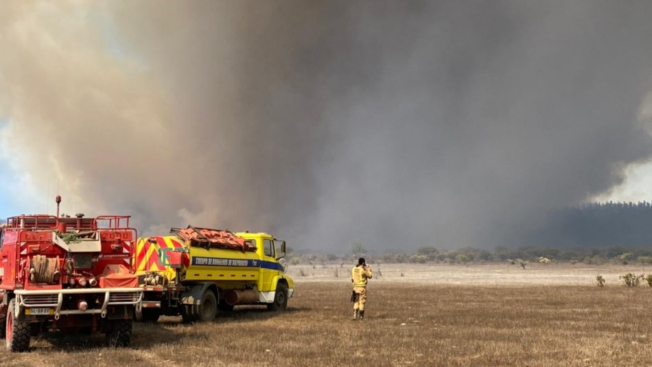incendio Peñuelas Intendente y alerta roja por incendios en Peñuelas: