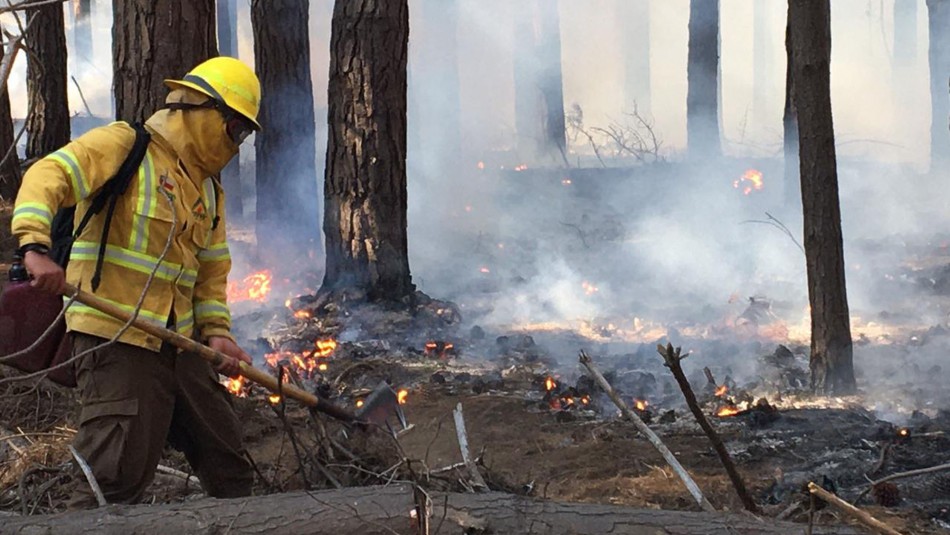 incendio peñuelas Al menos 20 hectáreas han sido arrasadas por incendio en Reserva Lago Peñuelas