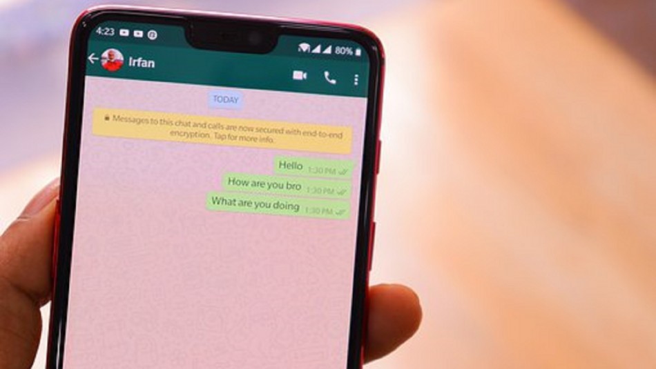 WhatsApp comienza a probar nueva función de asistencia técnica para el usuario WhatsApp comienza a probar nueva función de asistencia técnica para el usuario