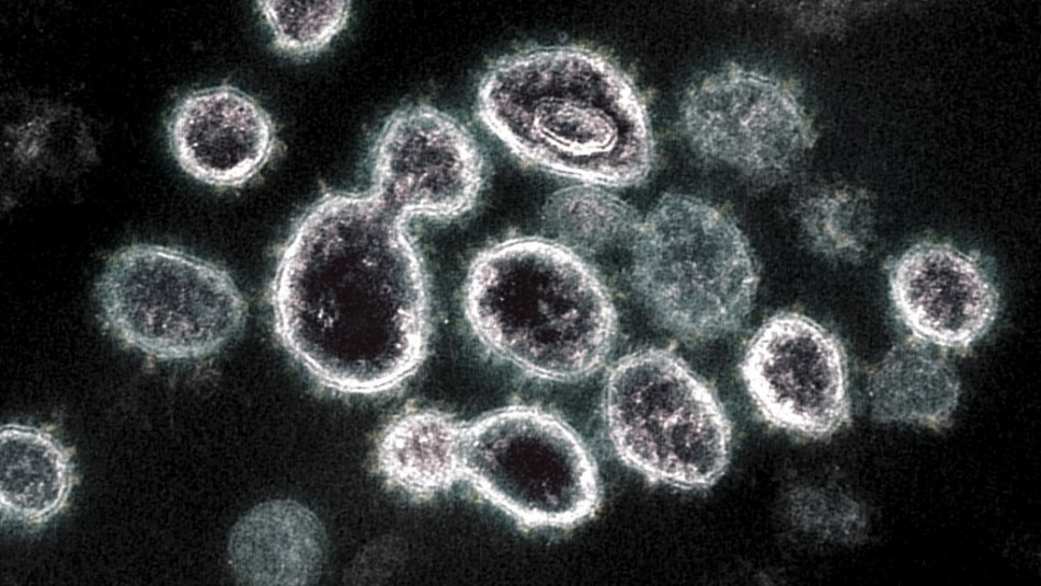 Nuevas variantes de coronavirus: Todo lo que debes saber de ellas y cuáles están en Chile Nuevas variantes de coronavirus: Todo lo que debes saber de ellas y cuáles están en Chile