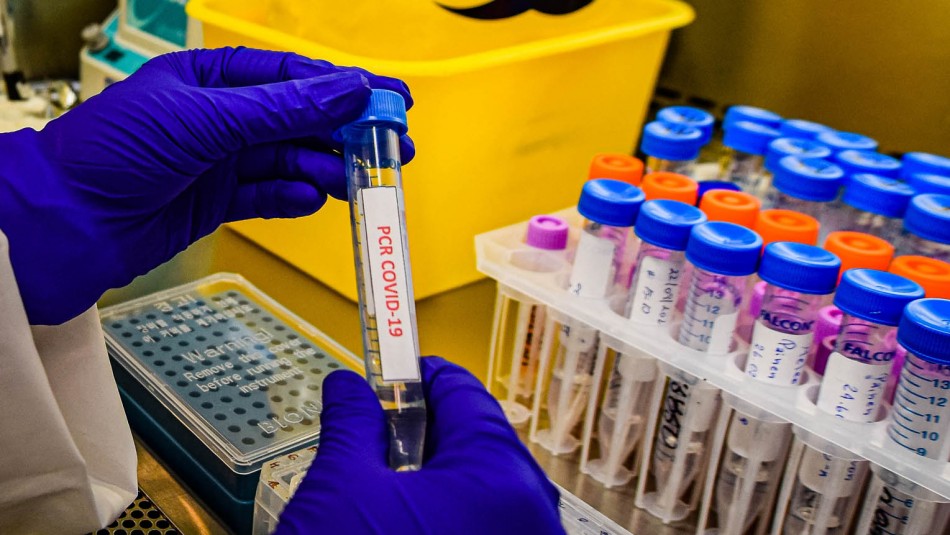 Detectan en Chile primer caso de variante de Nueva York del coronavirus Detectan en Chile primer caso de variante de Nueva York del coronavirus