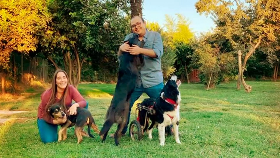 medico chimbarongo coronavirus Joven médico fallecido por coronavirus había renunciado a la paternidad para cuidar a sus perros