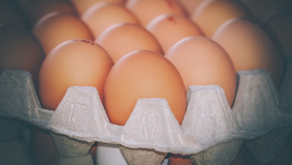 Granja de Estados Unidos debe donar 1,2 millones de huevos por subir precios en plena pandemia Granja de Estados Unidos debe donar 1,2 millones de huevos por subir precios en plena pandemia