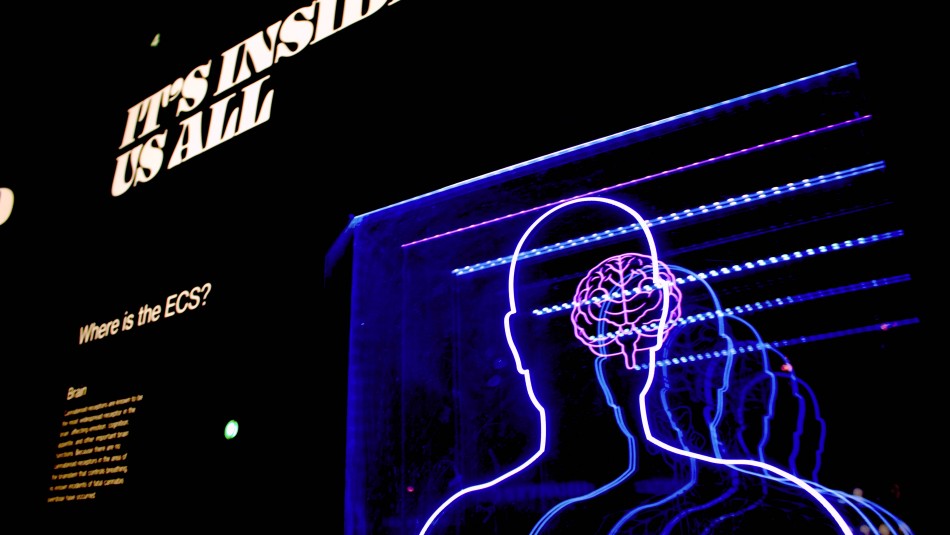 ¿Podría la IA ayudar a predecir la enfermedad de Alzheimer antes de que se desarrolle? ¿Podría la IA ayudar a predecir la enfermedad de Alzheimer antes de que se desarrolle?