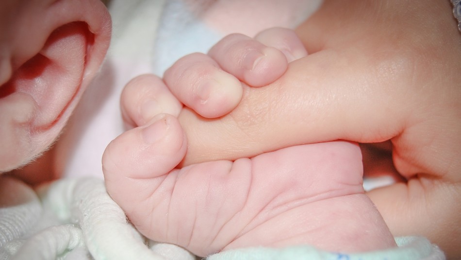 Joven le clavó un tenedor en la cabeza a su hermano de 8 meses en Argentina Joven le clavó un tenedor en la cabeza a su hermano de 8 meses en Argentina
