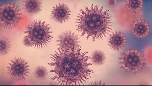 Desde España alertan que una nueva pandemia podría producirse en el 'corto o mediano plazo'