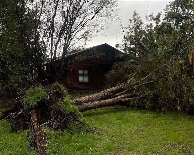 Destruição da tempestade na casa de Quique Neira (Instagram)