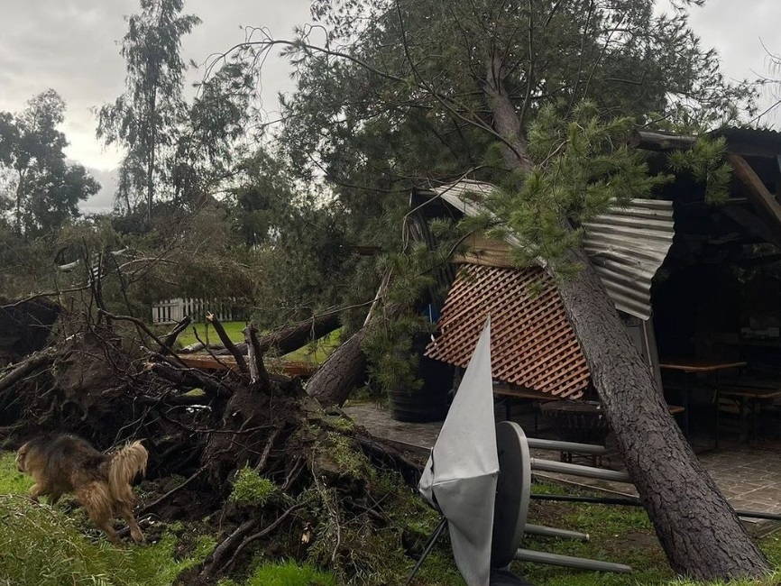 Destrozos del temporal en la casa de Quique Neira (Instagram)