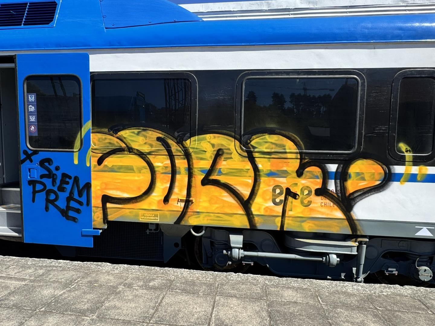 Vandalizan nuevo tren en Puerto Varas / Club de Emergencias Décima Región