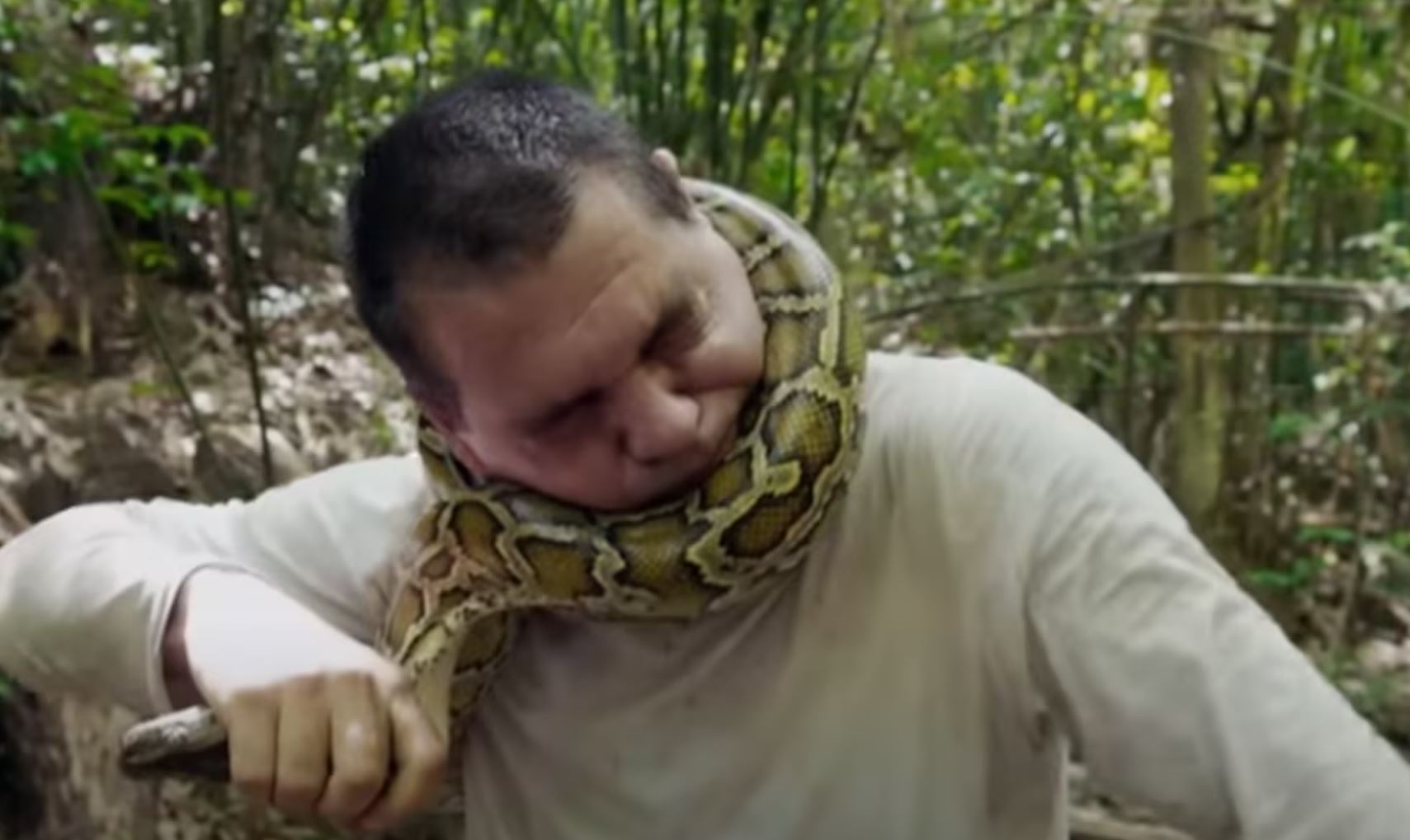 Una de las escenas de