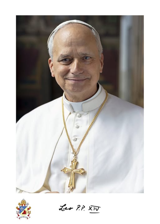 Primer retrato oficial del Papa Leon XIV / Vatican News