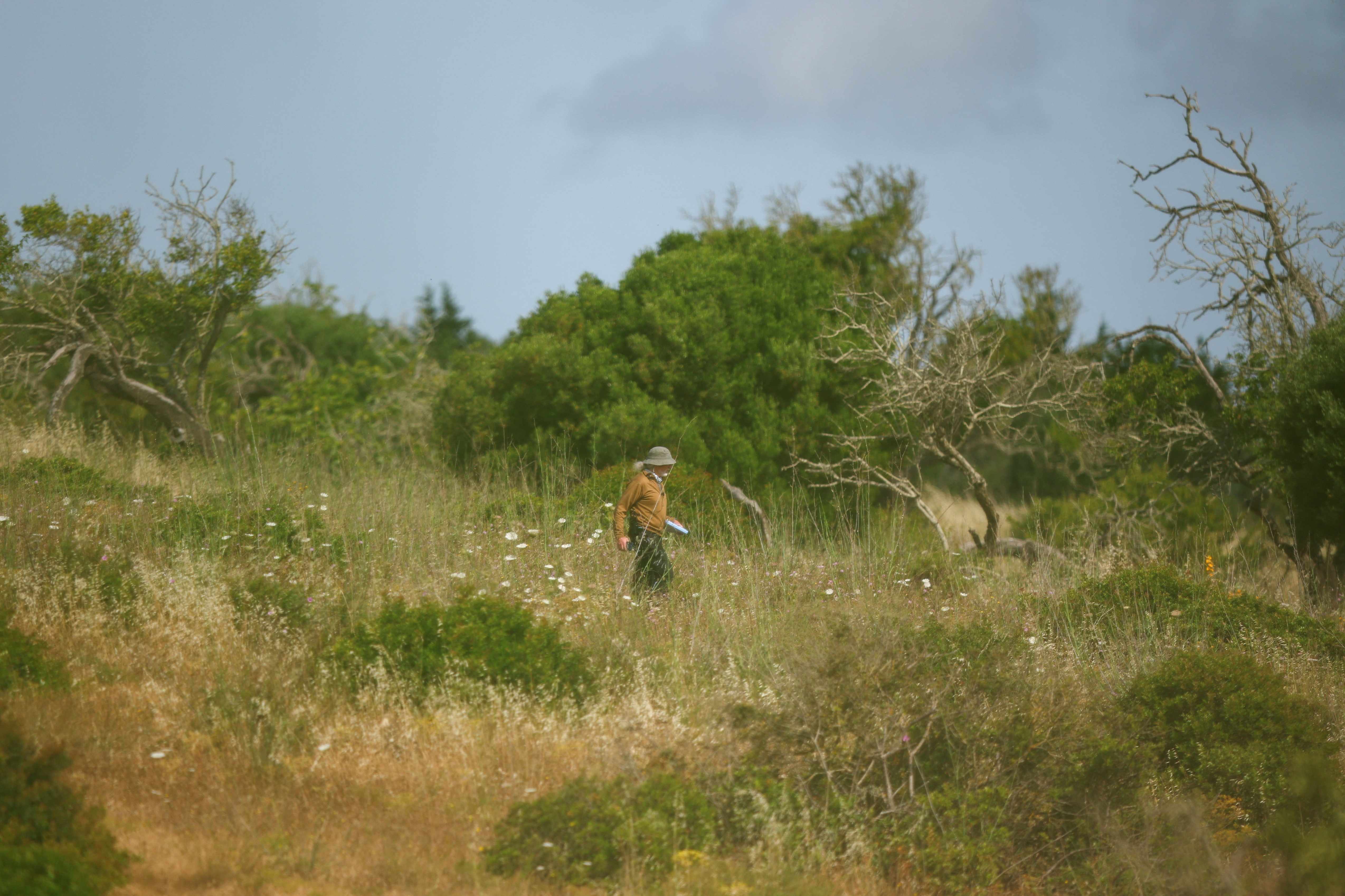 Sector de la búsqueda de Madeleine McCann / Reuters