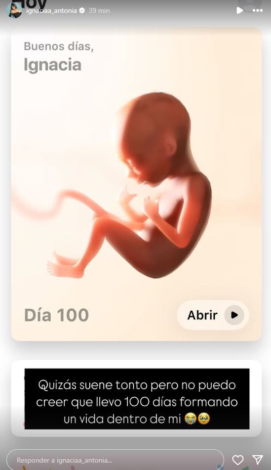 Historia de Ignacia Antonia