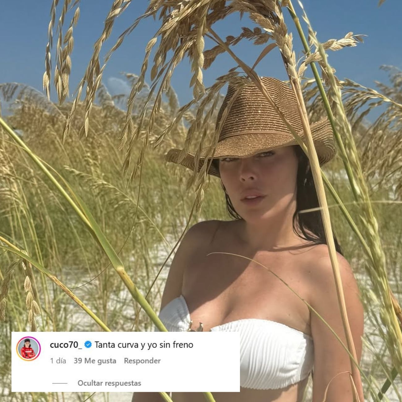 Comentario de José Manuel Cerda