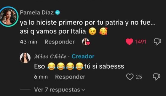 Comentario de Pamela Díaz