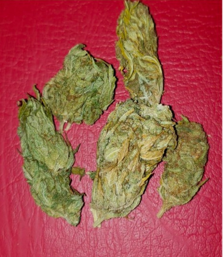 Pantallazo del celular del imputado