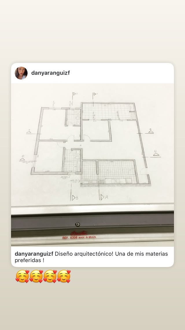 Historia de Daniela Aránguiz