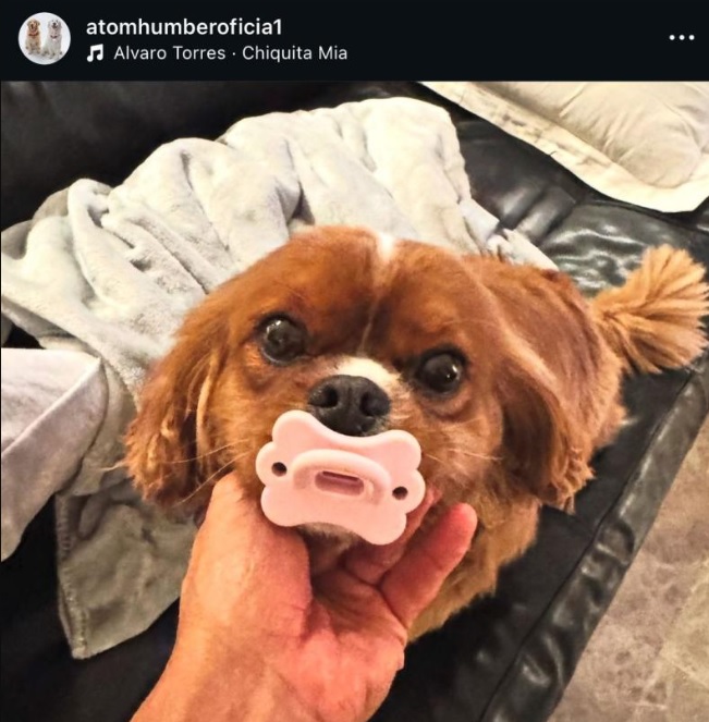 La foto del nuevo miembro de la familia de Alexis Sánchez