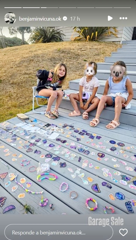 La publicación de Vicuña