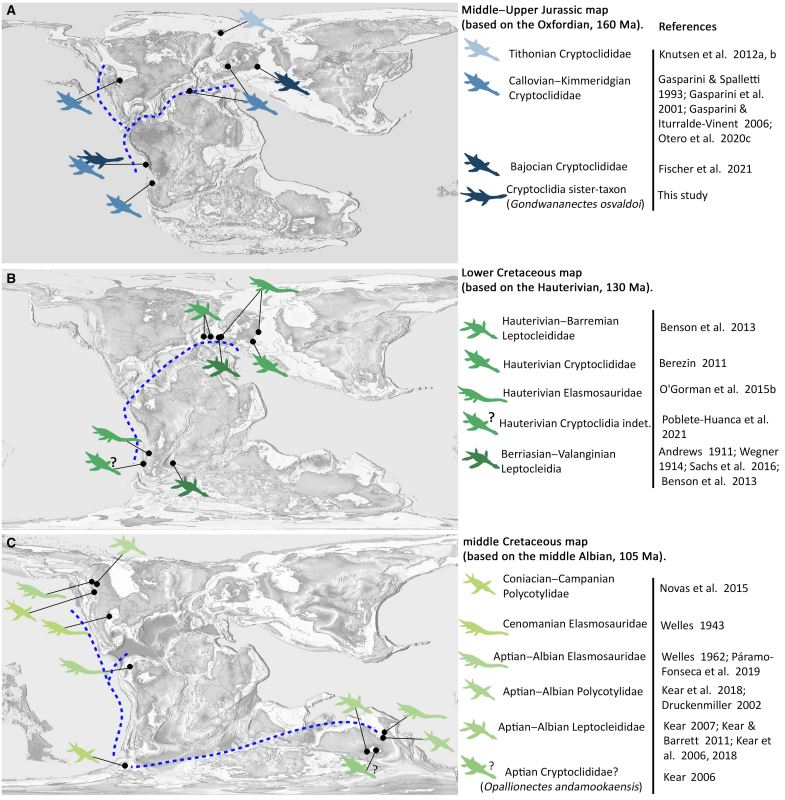 Apariciones de Cryptoclidia y Gondwananectes osvaldoi a lo largo de los cambiantes entornos paleogeográficos globales del Jurásico-Cretácico. / Papers in Paleontology, Vol. 12, Part 2.