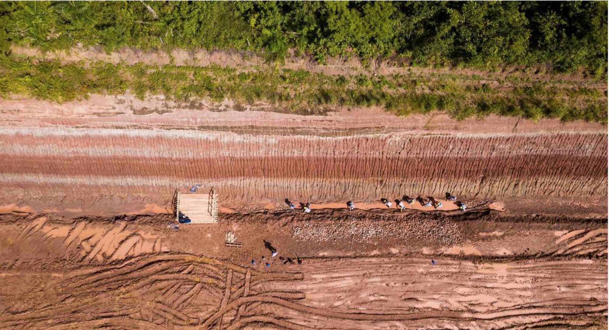 Yacimiento donde se encontró el ejemplar. Es posible que haya más osamenta