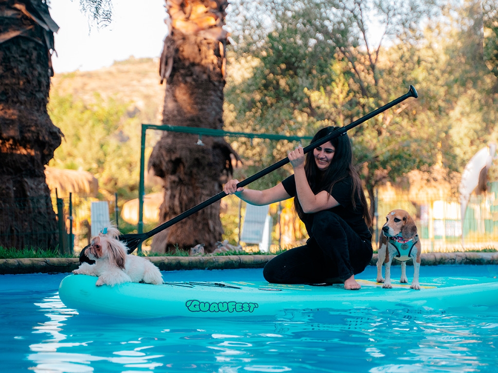 Imágenes del GuauFest.