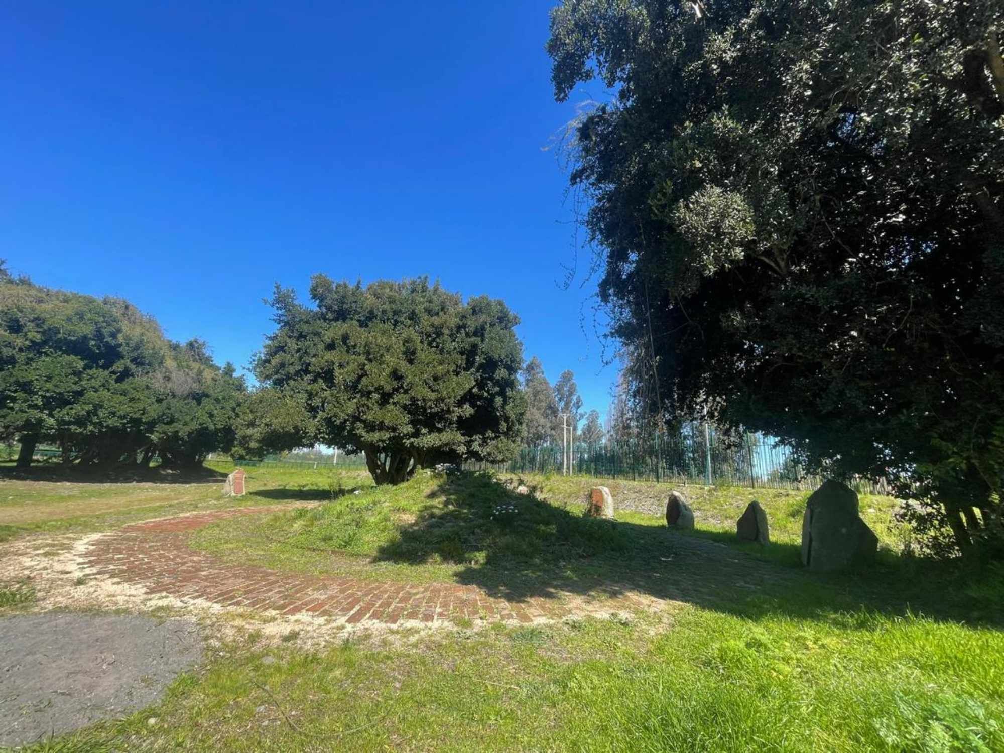 Memorial Mapuche Folontu Aliwen. / Temuco Diario.