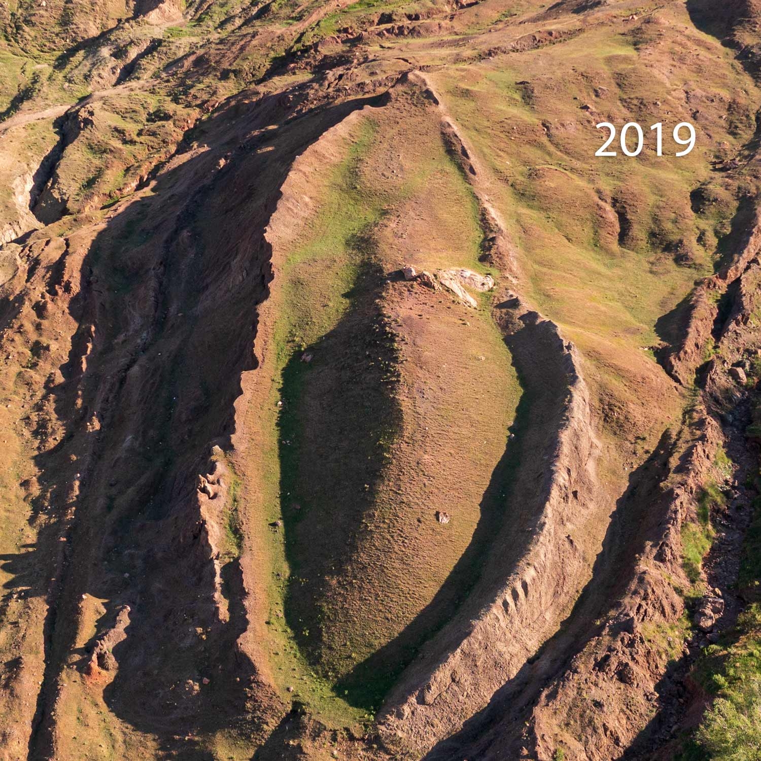 2019