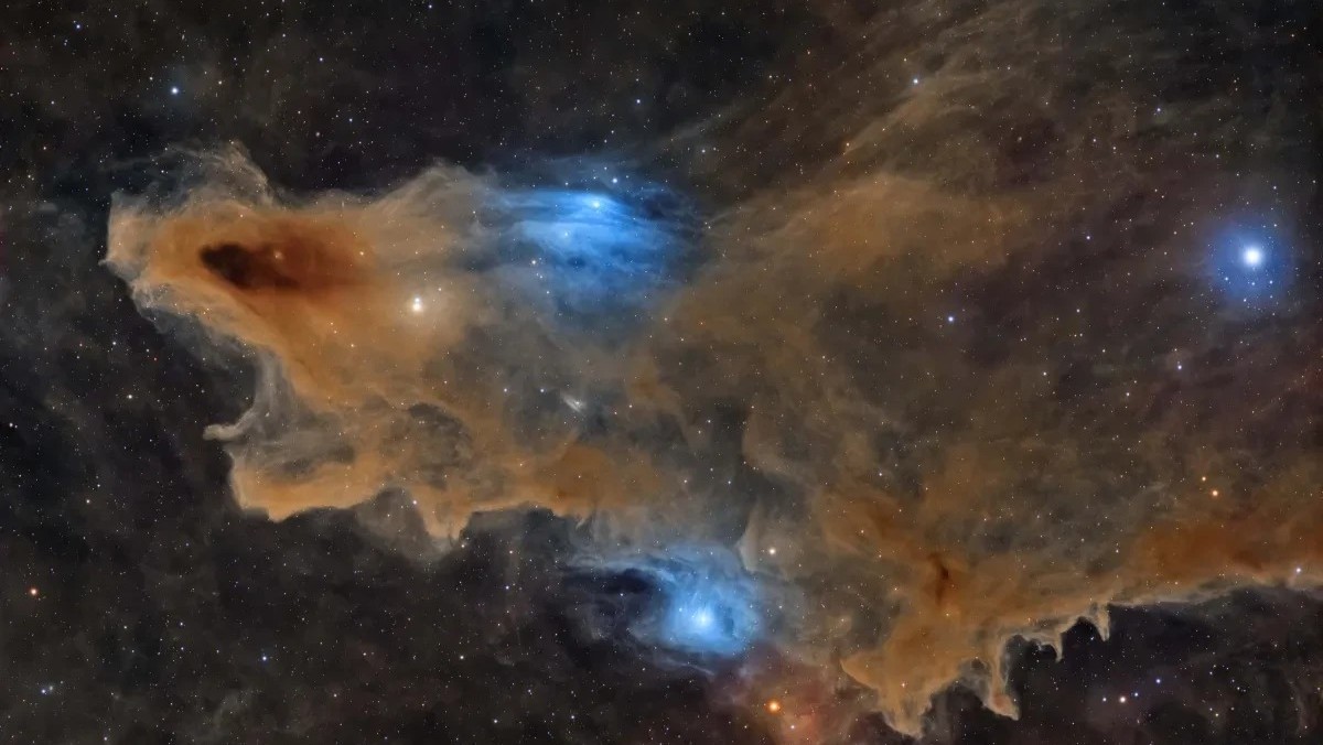 Depredador silencioso. Ganadores del concurso Fotógrafo Astronómico del Año 2026